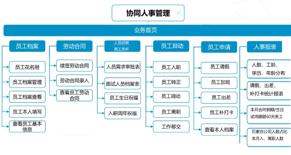 河北 紫岩 协同 人力管理 艾弗森贝博ballbet官网